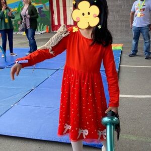 Hanna Anderson Red Tulles Dress with Bow Accents